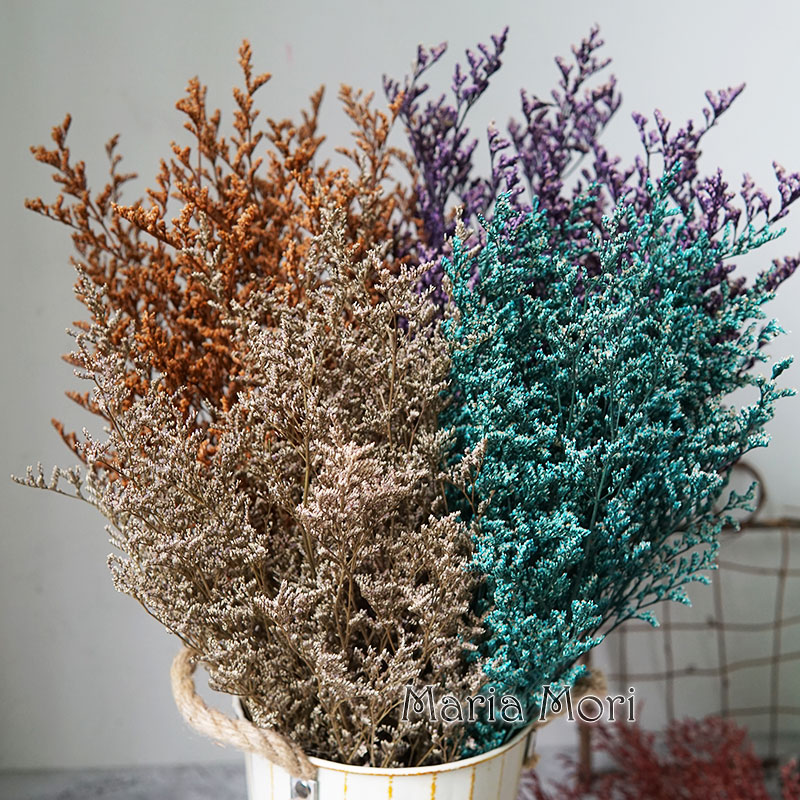 Eucalyptus Preserved - 70g/Preserved Valentine's Grass Limonium Flower Lover