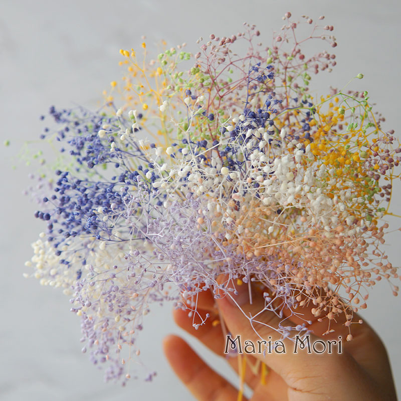 Baby Breath Dried - 5g/Mini Baby Breath Dried Preserved Flowers