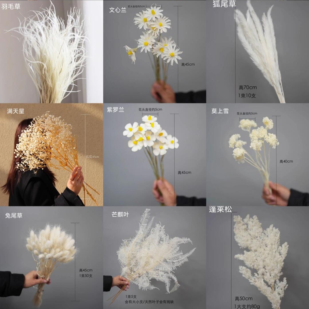 Baby Breath Dried - Ins-style home soft decoration wedding backdrop