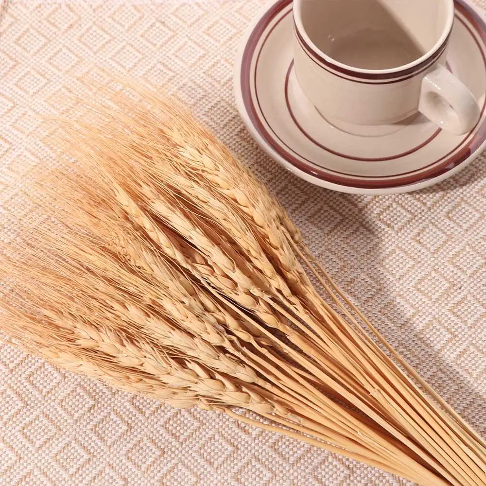 50pcs Artificial Flower Natura - Eucalyptus Preserved recension och pris