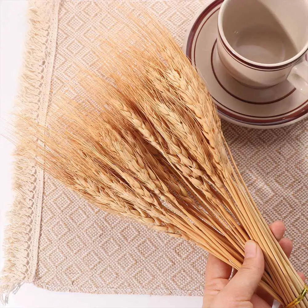 50pcs Artificial Flower Natura - Eucalyptus Preserved recension och pris
