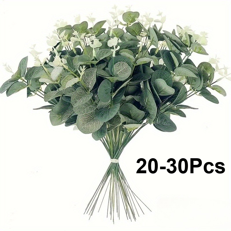 20 or 30pcs Eucalyptus Leaf St - Eucalyptus Preserved recension och pris