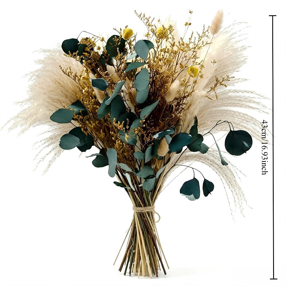 Natural Dried Pampas Grass Bou - Eucalyptus Preserved recension och pris