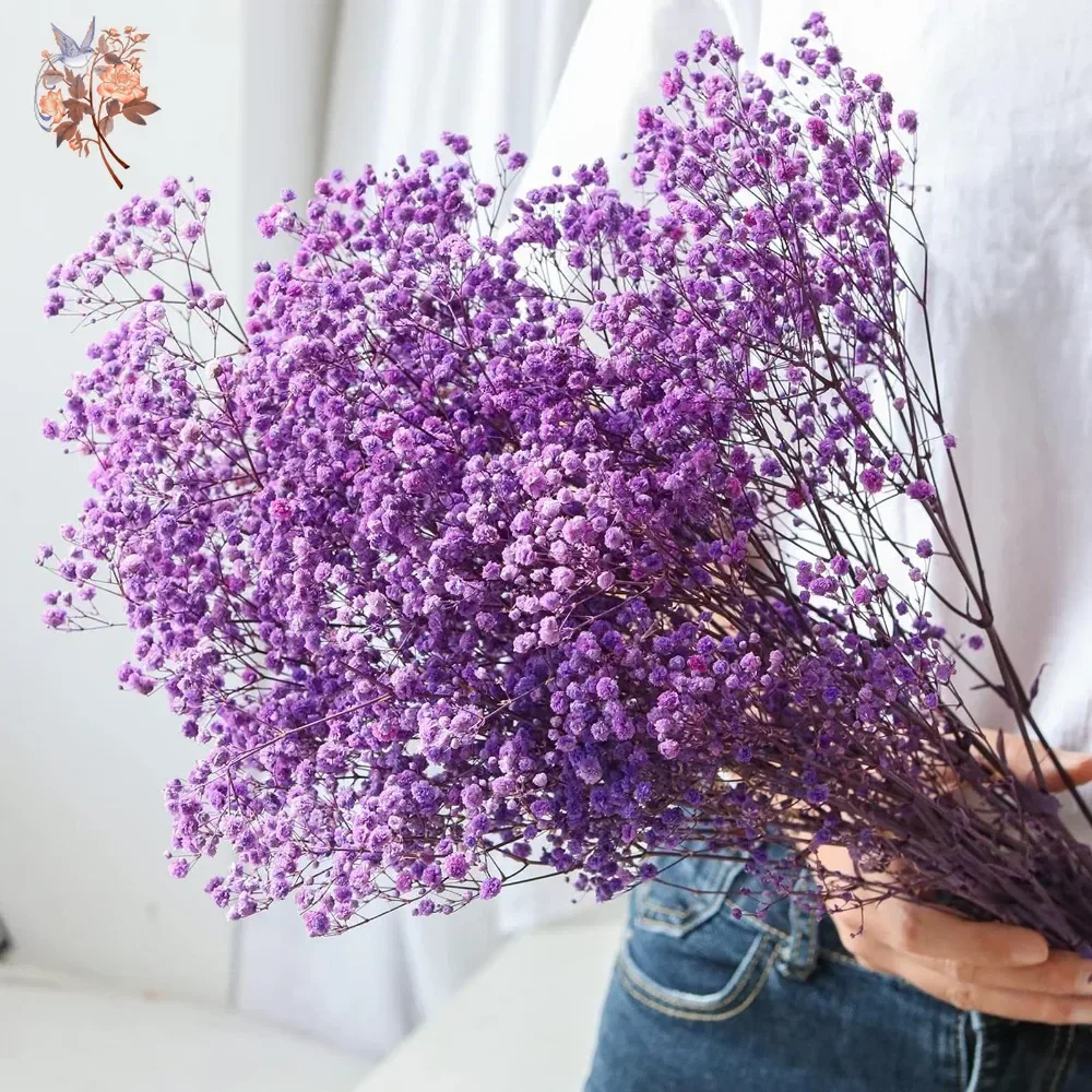 Real Touch Purple Gypsophile 8 - Baby Breath Dried recension och pris