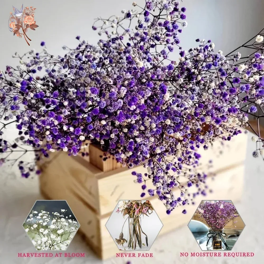 Real Touch Purple Gypsophile 8 - Baby Breath Dried recension och pris