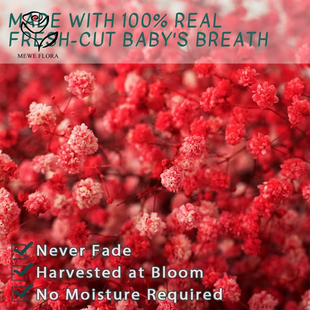 Dried Babys Breath Flower Bouq - Baby Breath Dried recension och pris