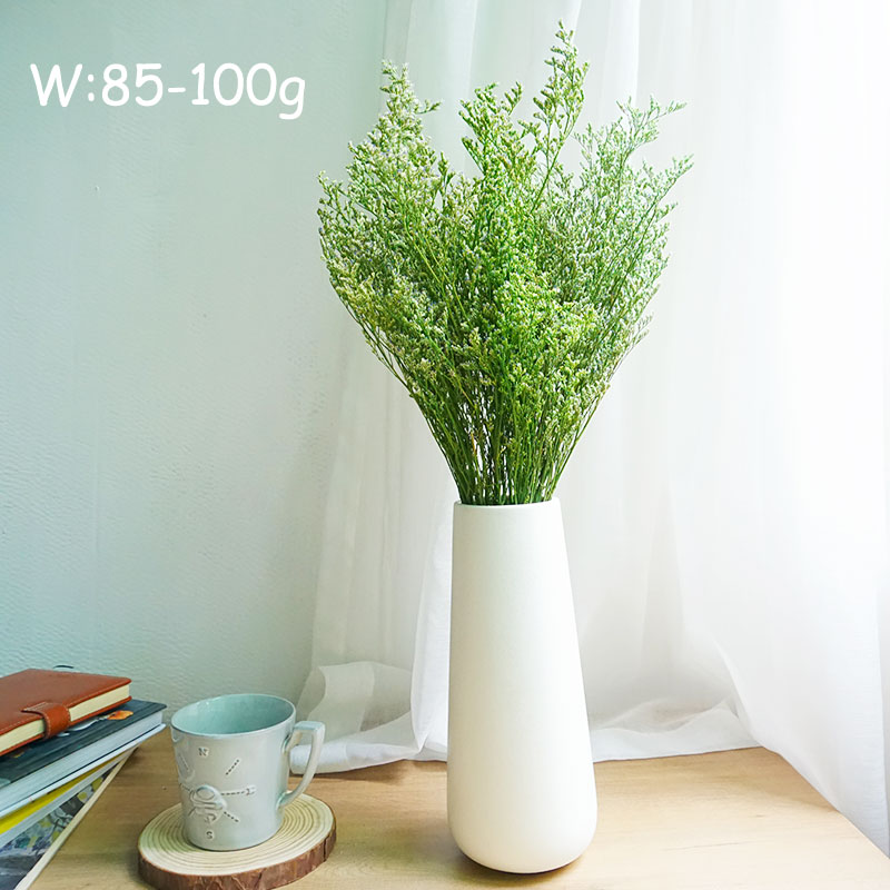 70g/Preserved Valentine's Gras - Eucalyptus Preserved recension och pris