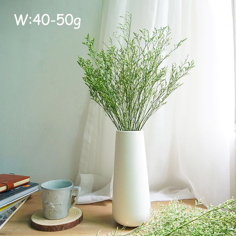 70g/Preserved Valentine's Gras - Eucalyptus Preserved recension och pris