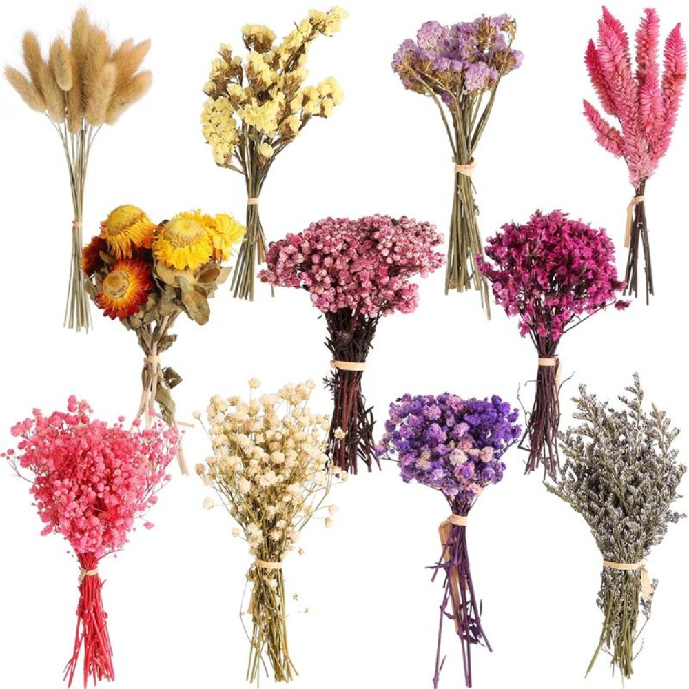 DIY Small Bouquet Mini Dried B - Baby Breath Dried recension och pris