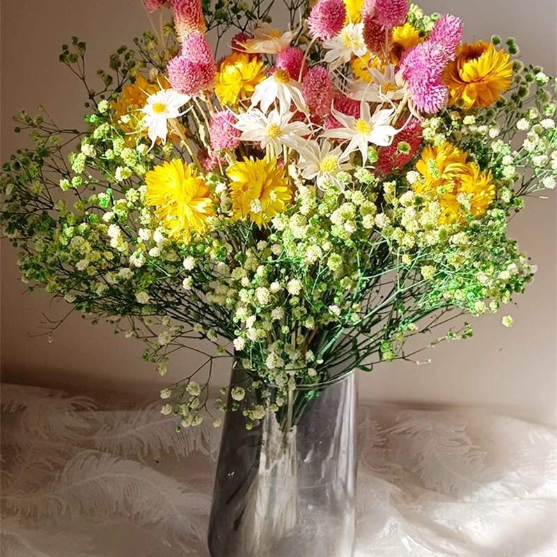 Natural Dried Flower Gypsophil - Baby Breath Dried recension och pris