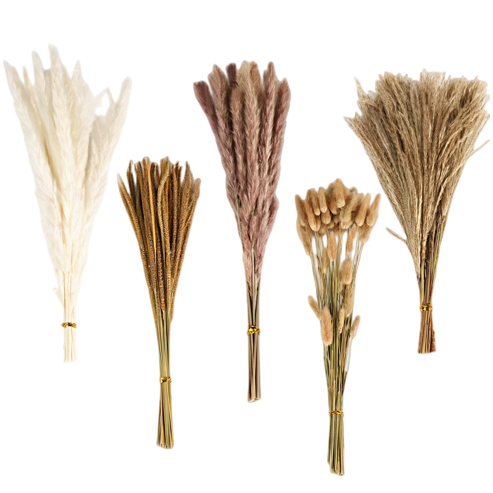 Autumn Vintage Mixed Dried Flo - Eucalyptus Preserved recension och pris
