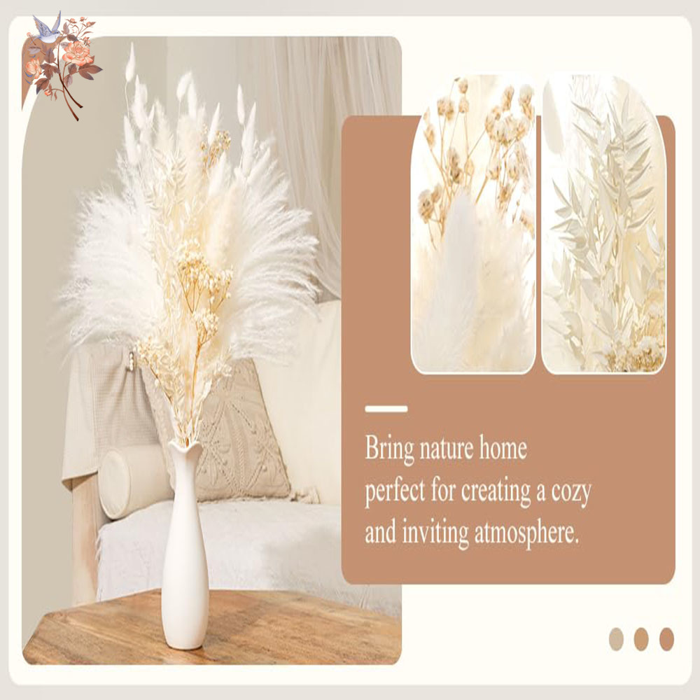 40pcs White Natural Dried Flow - Baby Breath Dried recension och pris