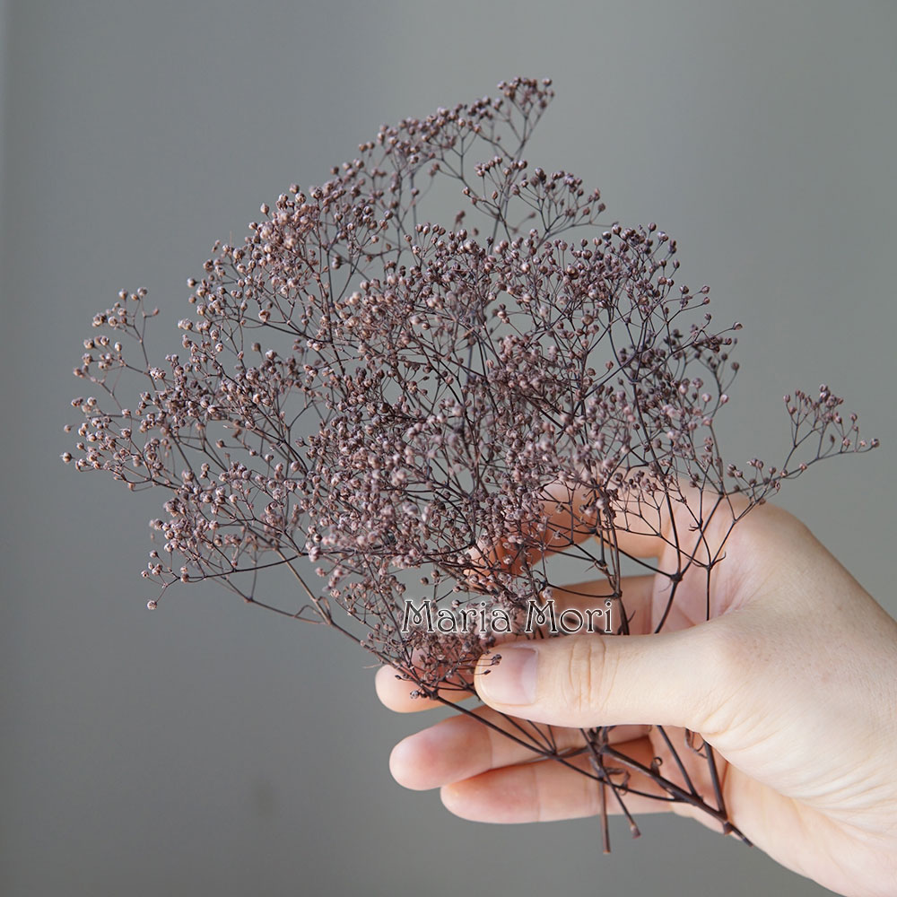 5g/Mini Baby Breath Dried Pres - Baby Breath Dried recension och pris