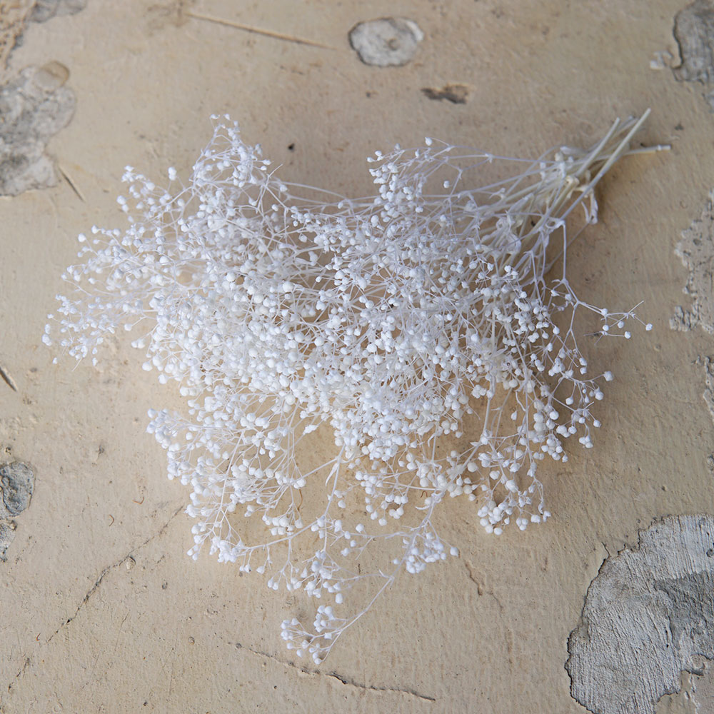 5g/Mini Baby Breath Dried Pres - Baby Breath Dried recension och pris