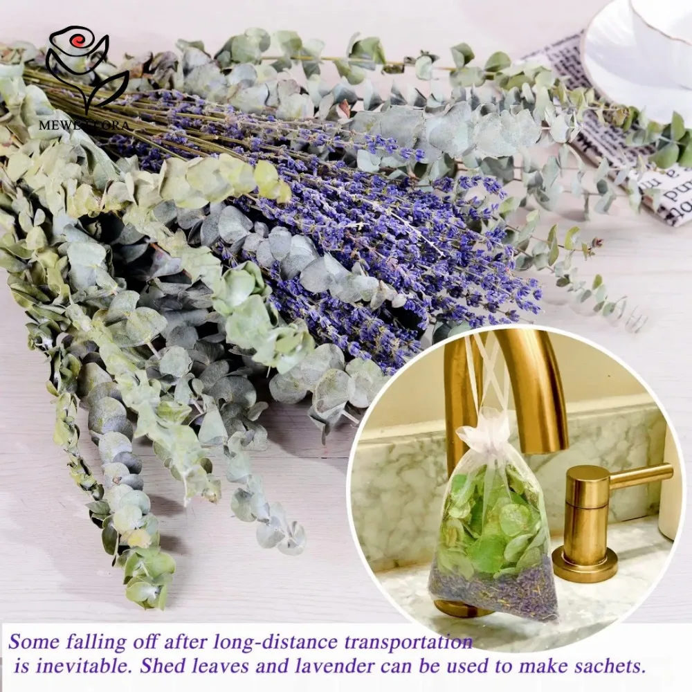 30Pcs Dried Flowers Preserved  - Eucalyptus Preserved recension och pris