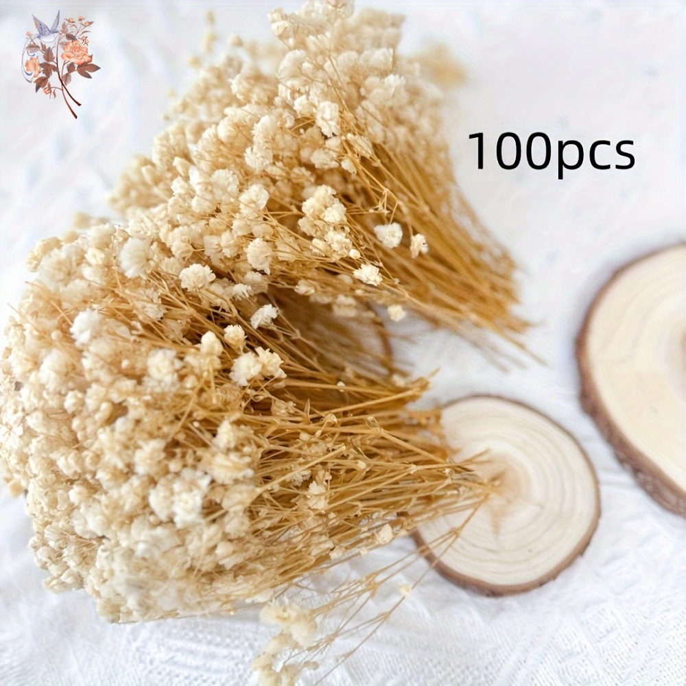 100pcs Mini Dried Baby's Breat - Baby Breath Dried recension och pris