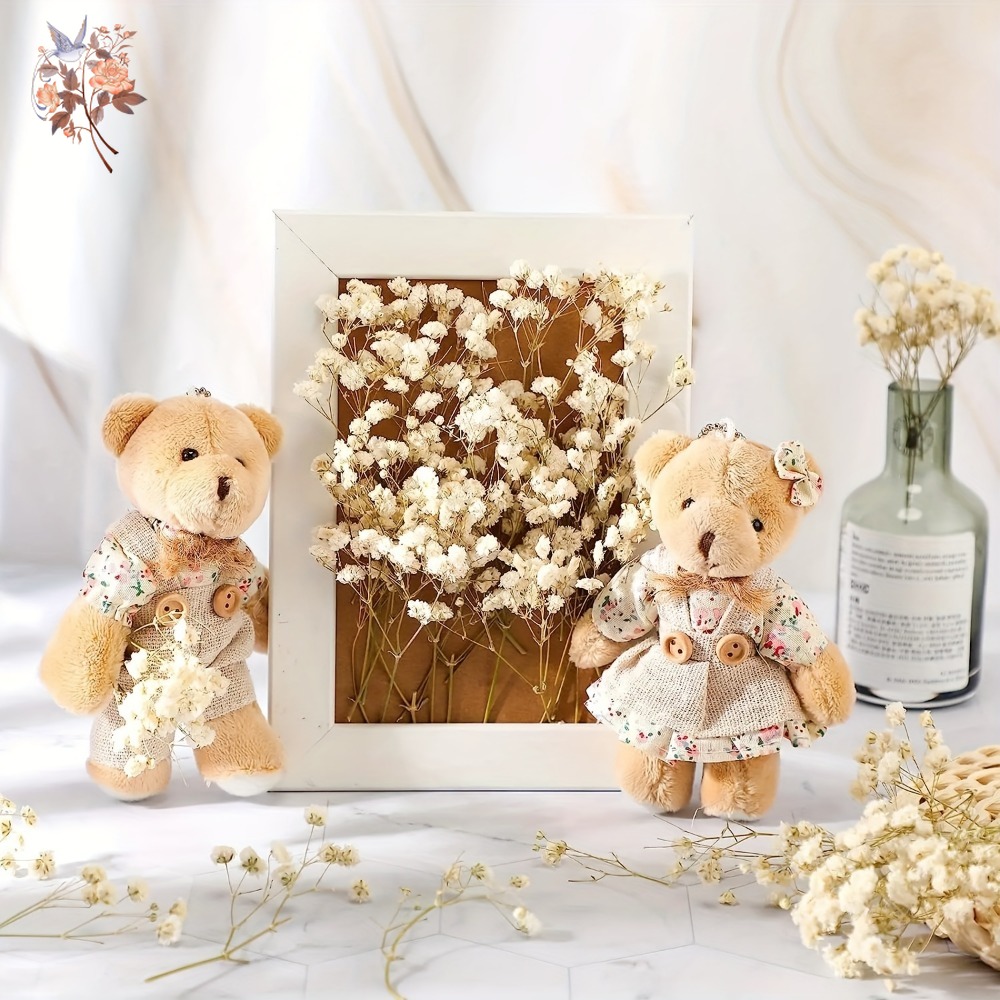 100pcs Mini Dried Baby's Breat - Baby Breath Dried recension och pris