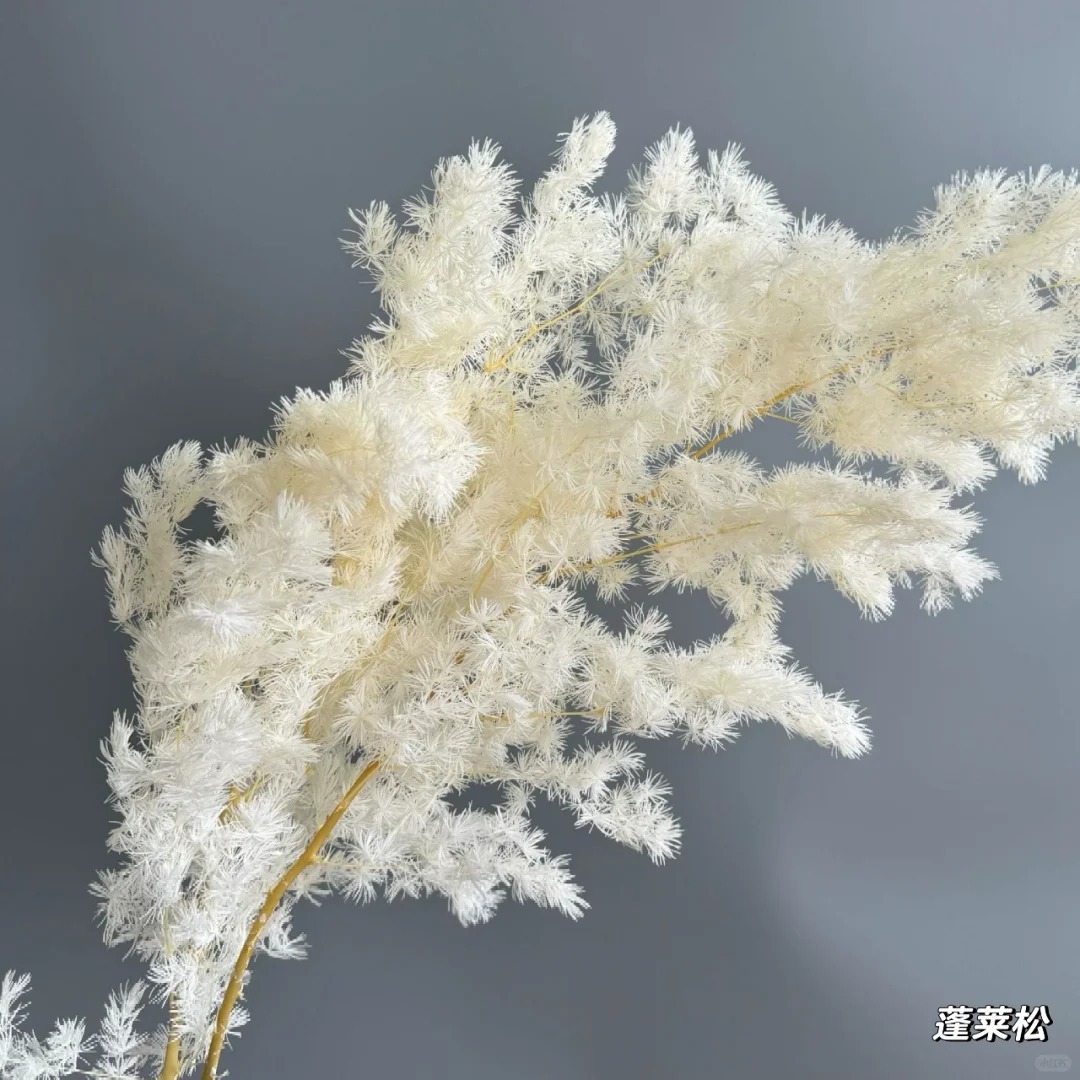 Ins-style home soft decoration - Baby Breath Dried recension och pris
