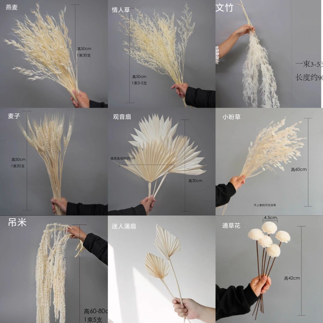 Ins-style home soft decoration - Baby Breath Dried recension och pris