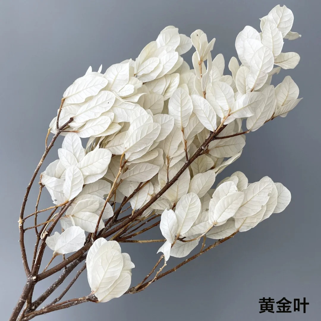 Ins-style home soft decoration - Baby Breath Dried recension och pris